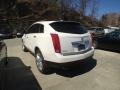 Platinum Ice Tricoat - SRX V6 Photo No. 6
