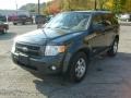 2008 Black Pearl Slate Metallic Ford Escape Limited 4WD  photo #1