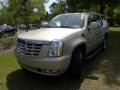 Gold Mist - Escalade AWD Photo No. 24