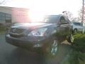 2004 Flint Gray Mica Lexus RX 330 AWD  photo #1