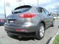 2010 Platinum Graphite Infiniti EX 35 Journey AWD  photo #5