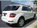 Arctic White - ML 350 4Matic Photo No. 6