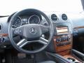 2009 Black Mercedes-Benz GL 320 BlueTEC 4Matic  photo #7
