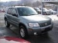 Light Tundra Metallic - Mariner Luxury 4WD Photo No. 9