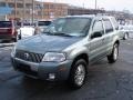 Light Tundra Metallic - Mariner Luxury 4WD Photo No. 11