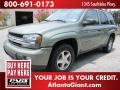 2003 Silver Green Metallic Chevrolet TrailBlazer LS  photo #1