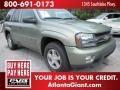 2003 Silver Green Metallic Chevrolet TrailBlazer LS  photo #4