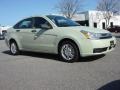 Natural Neutral Metallic 2010 Ford Focus SE Sedan Exterior