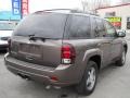 Desert Brown Metallic - TrailBlazer LT 4x4 Photo No. 2