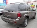 2008 Desert Brown Metallic Chevrolet TrailBlazer LT 4x4  photo #2