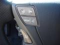 Mercury Metallic - LS 460 Photo No. 30