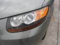 2007 Natural Khaki Green Hyundai Santa Fe GLS  photo #9