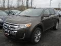 Earth Metallic - Edge Limited AWD Photo No. 1