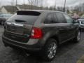 Earth Metallic - Edge Limited AWD Photo No. 2