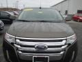 Earth Metallic - Edge Limited AWD Photo No. 15