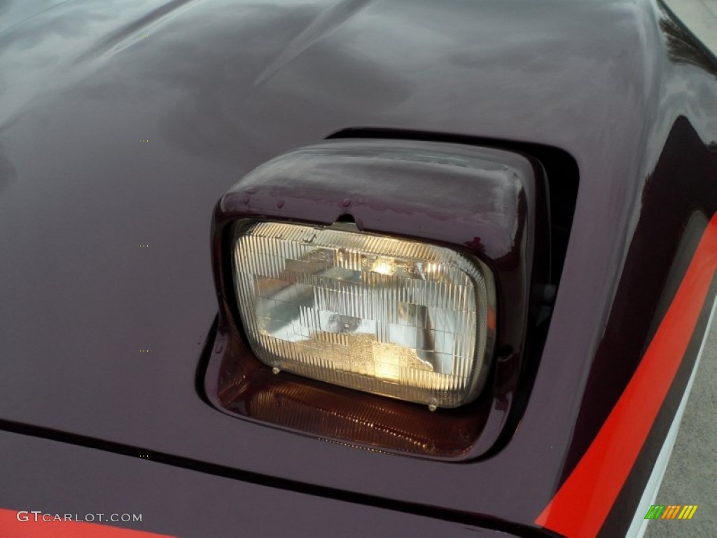 1995 Corvette Indianapolis 500 Pace Car Convertible - Dark Purple Metallic/Arctic White / Black/Purple photo #10