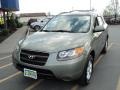 Natural Khaki Green - Santa Fe GLS Photo No. 1