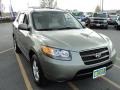 Natural Khaki Green - Santa Fe GLS Photo No. 11