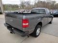 2005 Dark Shadow Grey Metallic Ford F150 XL Regular Cab  photo #3