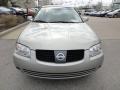 Radium Gray - Sentra 1.8 S Photo No. 8