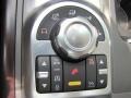 Arabica Brown/Ivory White Controls Photo for 2010 Land Rover Range Rover #63152689