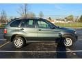 2006 Highland Green Metallic BMW X5 3.0i  photo #8