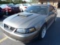 2001 Mineral Grey Metallic Ford Mustang GT Convertible  photo #3
