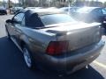 2001 Mineral Grey Metallic Ford Mustang GT Convertible  photo #5