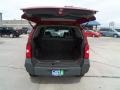 Red Brawn Pearl - Xterra X 4x4 Photo No. 24