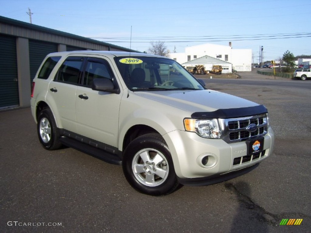 2009 Escape XLS 4WD - Light Sage Metallic / Stone photo #3