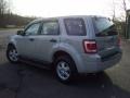 2009 Light Sage Metallic Ford Escape XLS 4WD  photo #5