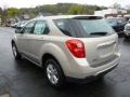 Gold Mist Metallic - Equinox LS AWD Photo No. 5