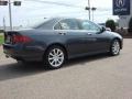 Carbon Gray Pearl - TSX Sedan Photo No. 5