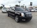 Black Raven - Escalade EXT AWD Photo No. 2