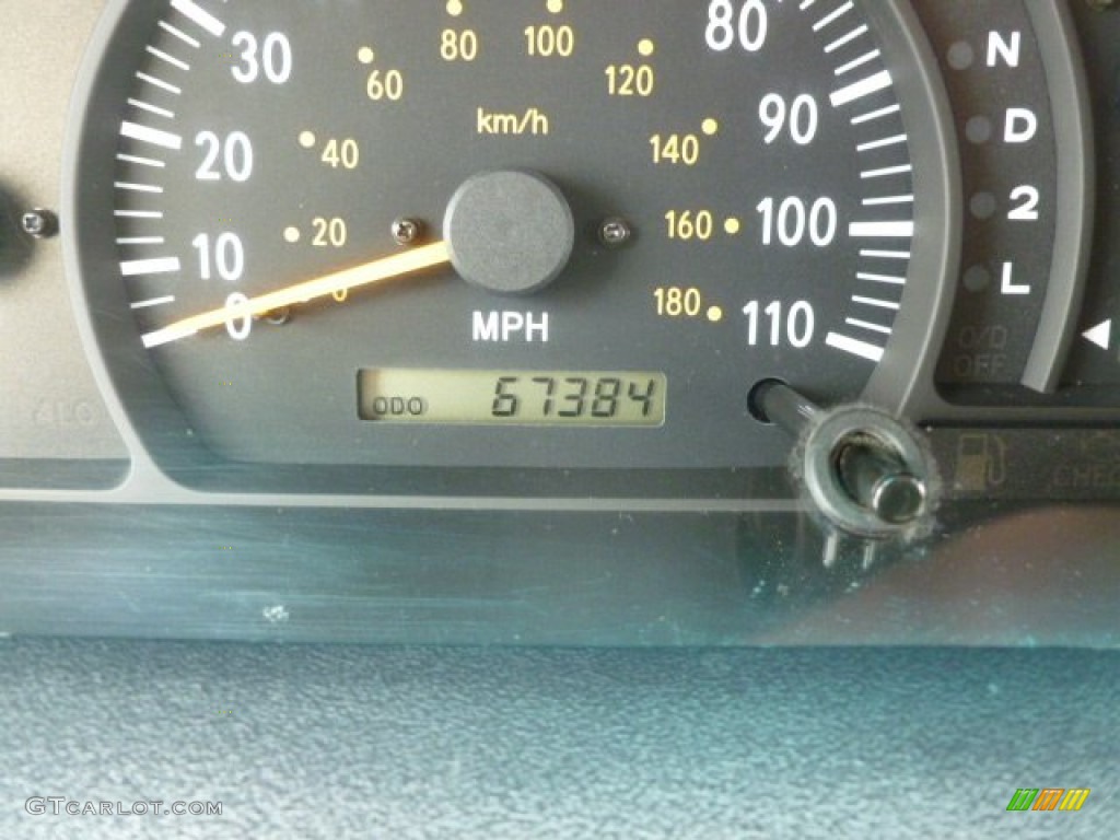 2002 Tundra SR5 TRD Access Cab 4x4 - Desert Sand / Oak photo #15