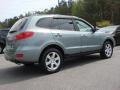 2007 Platinum Sage Hyundai Santa Fe SE  photo #6