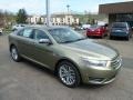 2013 Ginger Ale Metallic Ford Taurus Limited AWD  photo #1