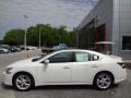 Winter Frost White - Maxima 3.5 SV Photo No. 2