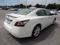 Winter Frost White - Maxima 3.5 SV Photo No. 8