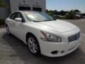 Winter Frost White - Maxima 3.5 SV Photo No. 10