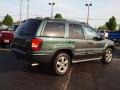 2002 Onyx Green Pearlcoat Jeep Grand Cherokee Overland 4x4  photo #3