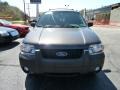 2007 Dark Stone Metallic Ford Escape XLT V6 4WD  photo #6