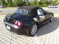 2005 Jet Black BMW Z4 2.5i Roadster  photo #4