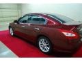 Tuscan Sun Metallic - Maxima 3.5 SV Photo No. 4