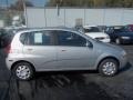 Cosmic Silver - Aveo 5 LS Hatchback Photo No. 8