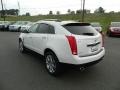 Platinum Ice Tricoat - SRX Premium Photo No. 5