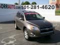 2010 Pyrite Metallic Toyota RAV4 Limited  photo #1