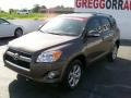 2010 Pyrite Metallic Toyota RAV4 Limited  photo #2