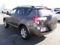 Pyrite Metallic - RAV4 Limited Photo No. 3