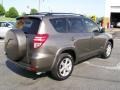 Pyrite Metallic - RAV4 Limited Photo No. 4